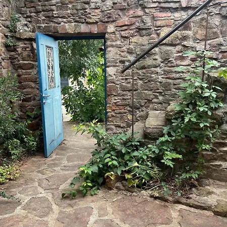 Maison De Village * Le Bosc (Herault)